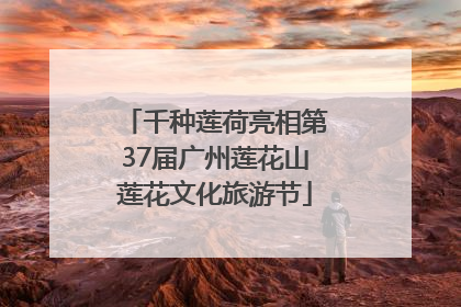 千种莲荷亮相第37届广州莲花山莲花文化旅游节
